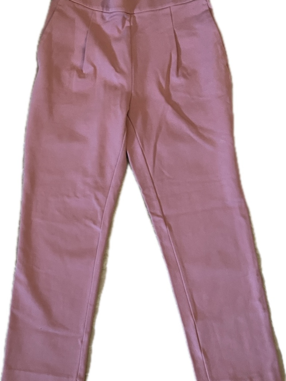 Ann Taylor Dusty Rose Elastic Waist Pants (NWOT)